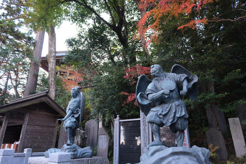 Abenteuer Mount Takao: Entdecke Natur und Tradition in Tokio