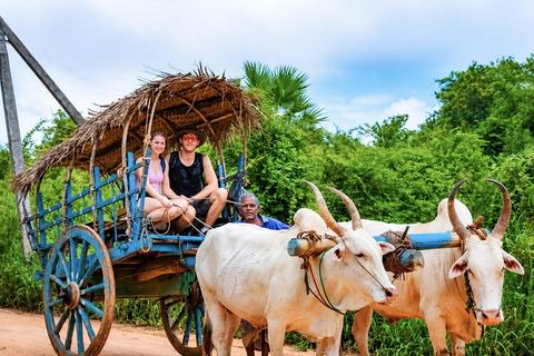 Colombo Airport → Sigiriya, Kandy, or Ella Private Car Tour Private Car with Driver – Up to 100 km
