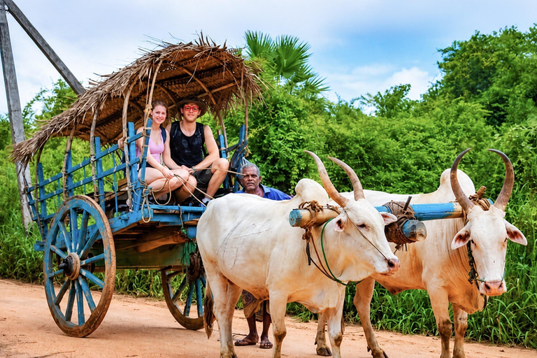 Colombo Airport → Sigiriya, Kandy, or Ella Private Car Tour Private Car with Driver – Up to 100 km