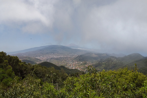 Tenerife: Visite de la réserve de biosphère Anaga UNESCO