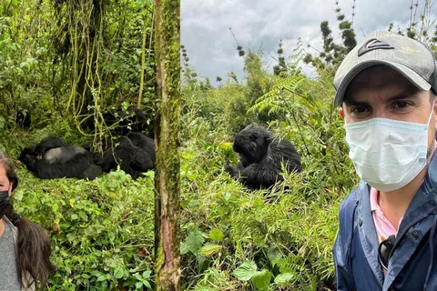 From Kigali: Gorilla Trekking Day Trip with Lunch