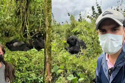 Desde Kigali: Excursión de un día de senderismo con gorilas y almuerzo