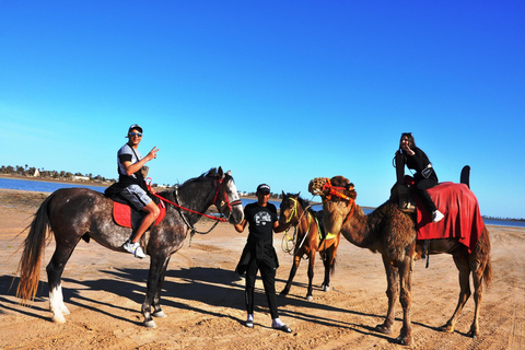 DJERBA : CAMEL AND HORSE (2H30).