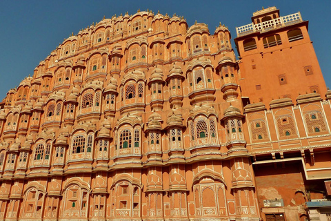 Excursão nocturna de safari: Explora Jaipur num jipe abertoExcursão de safari nocturna: Explora Jaipur num jipe aberto