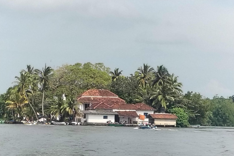 From Colombo: Day trip to Galle Dutch Fort & Turtle Beach