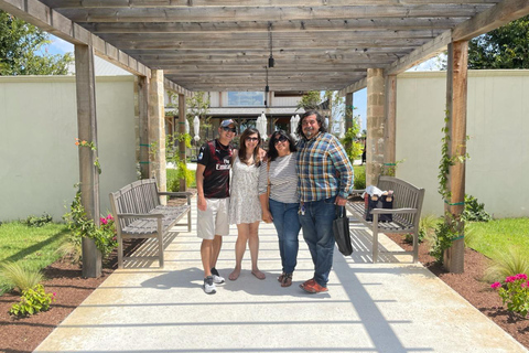 San Antonio: Fredericksburg Wineries Day Trip with Tastings Tour in English