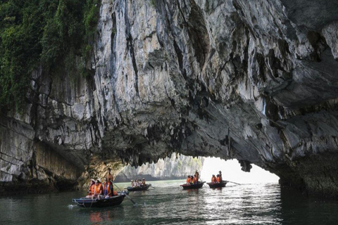 From Hanoi: Halong Bay, Titop Island, Sung Sot & Luon Caves