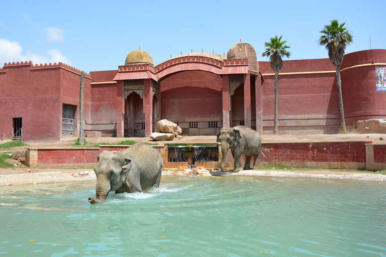 Benidorm: Terra Natura and Aqua Natura Combo Day Ticket Benidorm: Terra Natura and Aqua Natura 1-Day Ticket