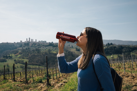 Firenze: Pisa, Siena, San Gimignano e l&#039;esperienza del Chianti