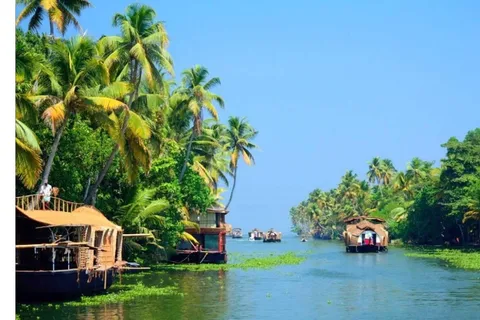 From Cochin: 5-Day Kerala Munnar, Thekkady, & Alleppey Tour