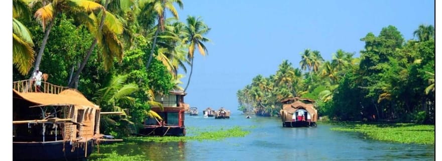 Au départ de Cochin : Circuit de 5 jours au Kerala (Munnar, Thekkady et Alleppey)