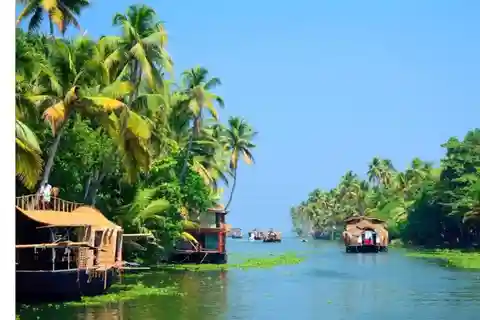 From Cochin: 5-Day Kerala Munnar, Thekkady, & Alleppey Tour