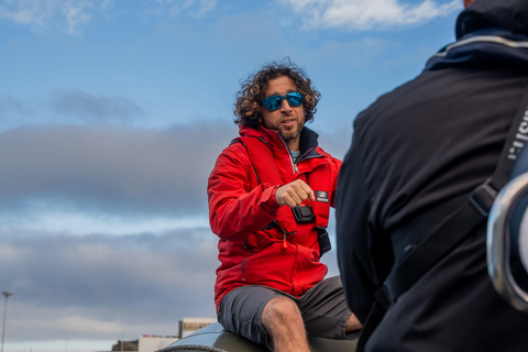 圣米格尔岛：火山奇观、洞穴与历史游船之旅