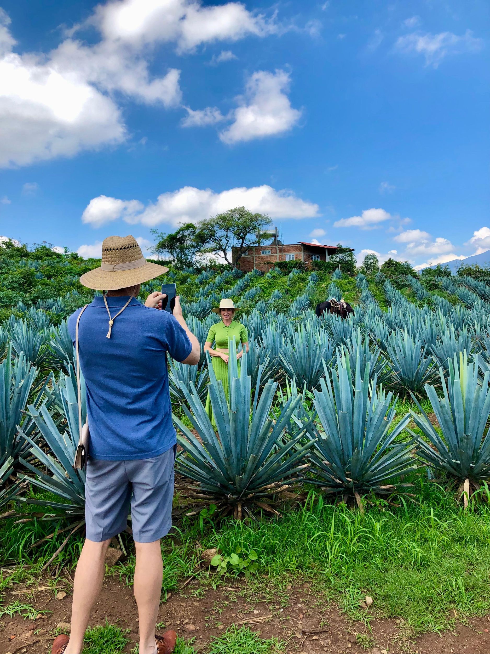 Tequila und Guachimontones: Private Ganztagestour