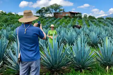 Tequila y Guachimontones: Excursión Privada de Día Completo