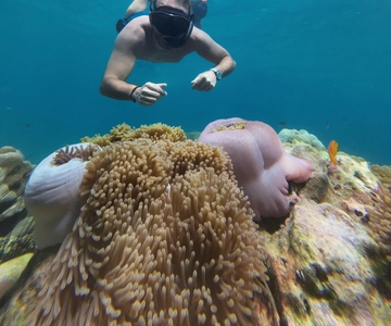 Koh Lipe: Snorkeltrip van een halve dag naar 4 eilanden 5 punten
