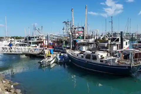 From Airlie Beach: Beautiful Bowen Day Tour with Lunch