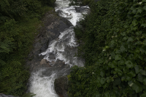 Pokhara: Queen Forest Hike to Santi Stupa & Lake Boating