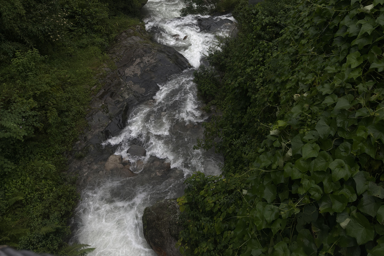 Pokhara: Queen Forest Hike to Santi Stupa & Lake Boating