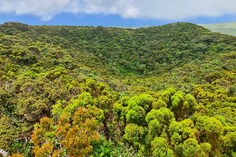 Pico Island: Lagoons and Mysterious Lava Tunnels Guided Tour