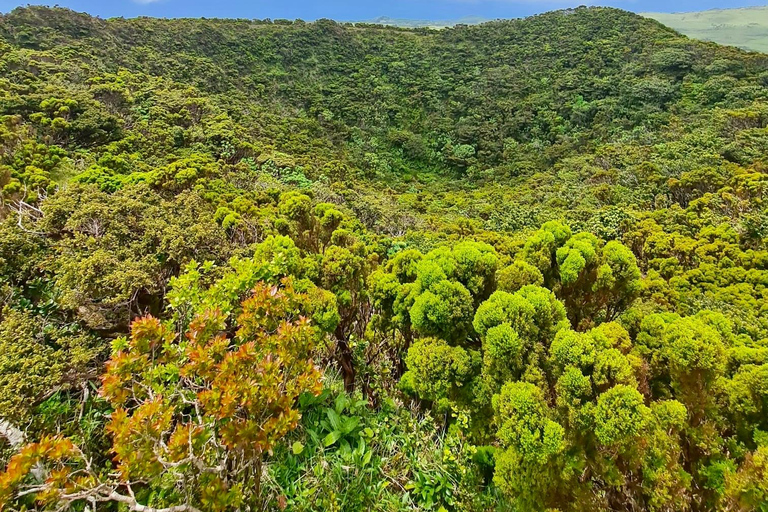 Pico Island: Lagoons and Mysterious Lava Tunnels Guided Tour