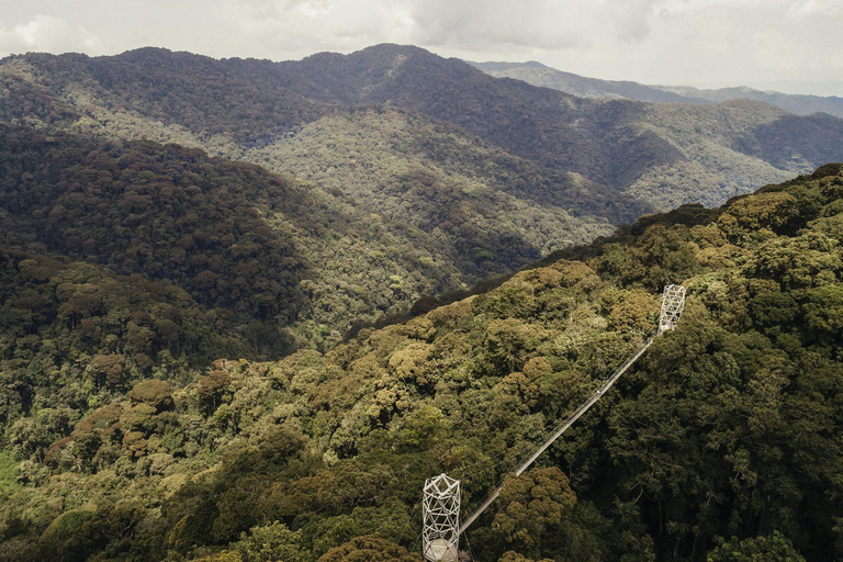 1-Day Nyungwe Forest Canopy Walk and Zipline adventure