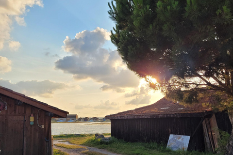 Bordeaux: escursione alla Baia di Arcachon e alla Dune du Pila con autista-guida