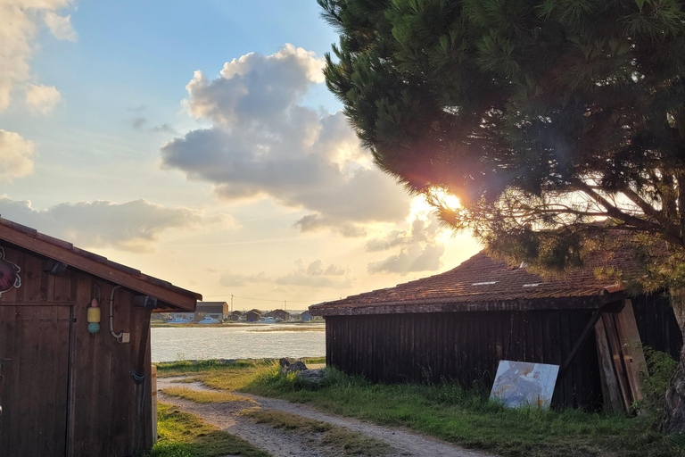 Bordeaux: escursione alla Baia di Arcachon e alla Dune du Pila con autista-guida