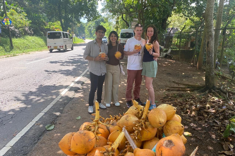 Tour de 6 dias por cidades diferentes com naturezas diferentes