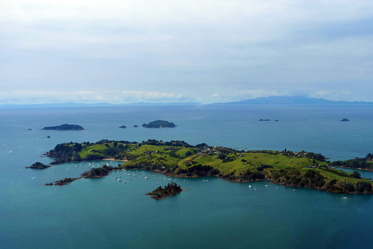 Begeleide snorkeltochten AucklandRakino-eiland