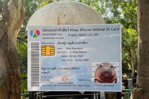 Bangkok/Pattaya: Excursão particular ao Zoológico Khao Kheow com serviço de busca