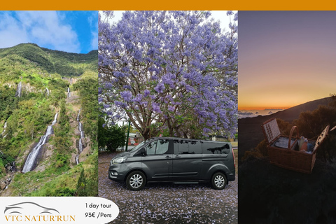 Reunion Island: Full-Day Tour