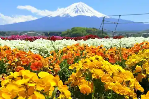 東京/横浜発富士山1日プライベートツアー（カスタマイズ可能）