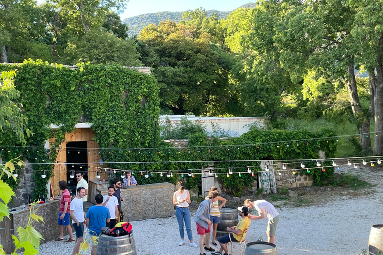 Desde Montpellier: Tour gastronómico y vinícola Pic Saint-Loup