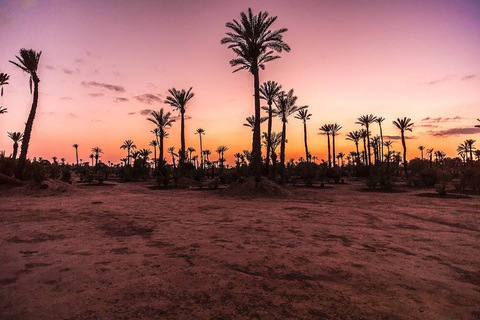 Tour in Quad a Marrakech Palm