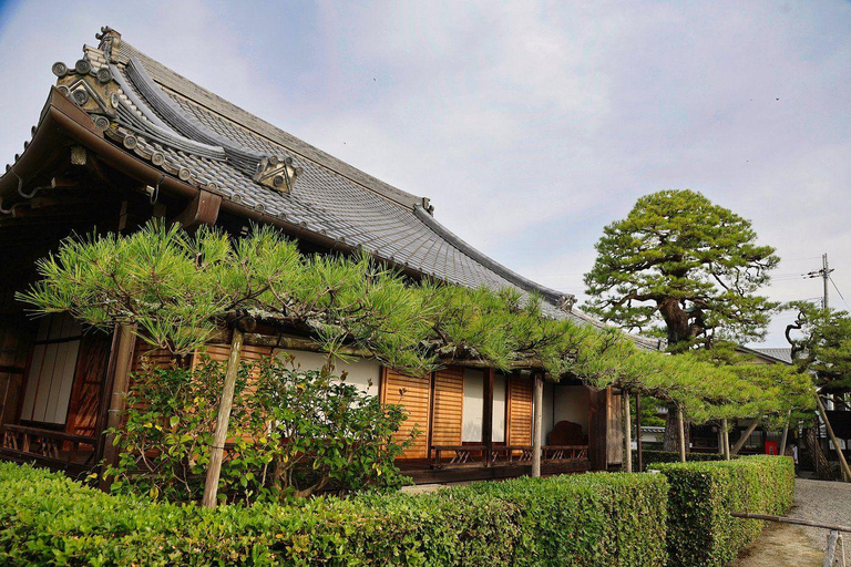 Nara: passeio ao entardecer com caligrafia e lanternasNara: caminhada ao entardecer com caligrafia e lanternas