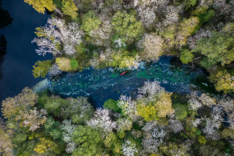 Gilchrist Blue: Clear Kayak Eco Tour