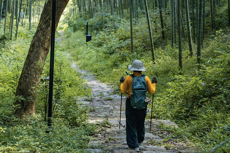 shanghai: Dongming Bamboo & Farm Picking Private Day Trip