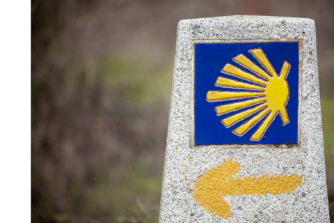 Da Tui: Tour guidato a piedi del Cammino di Santiago di 9 giorni