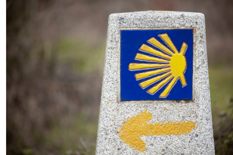 Da Tui: Tour guidato a piedi del Cammino di Santiago di 9 giorni