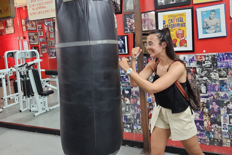 Verano en Brooklyn: tour por el puente, DUMBO y Coney IslandVisita guiada en español