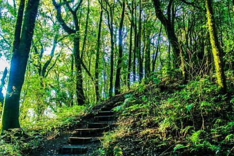 Chiang Mai : Parc national de Doi Inthanon et randonnée Pha Dok Siew