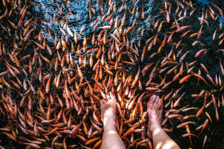 Safari in barca sul fiume Madu | Ganga di Madu, un tour memorabile