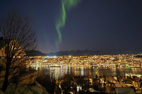 Tromsø: Fjellheisen Local Guided Hike