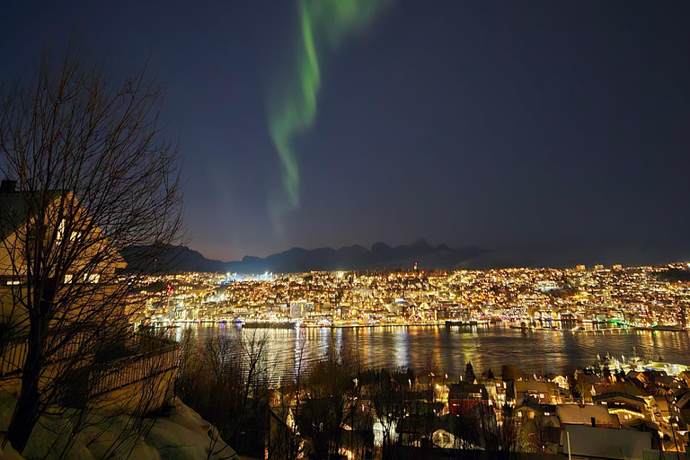 Tromsø: Fjellheisen Local Guided Hike