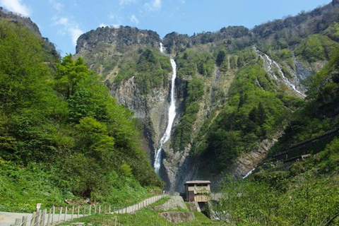 Fuji: kultur, skog och utsikt – privat skräddarsydd turFuji-kultur, skog och naturskön utsikt: Privat skräddarsydd tur