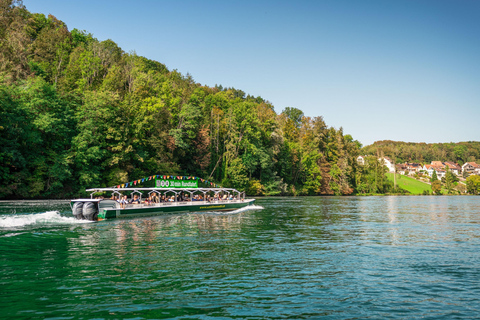 Neuhausen am Rheinfall: Rheinfall BootstourNeuhausen am Rheinfall: Ticket für eine Rheinfall-Bootstour