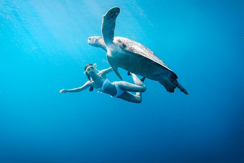 From Bali: Gili Island Snorkeling Day Trip with Hotel Pickup