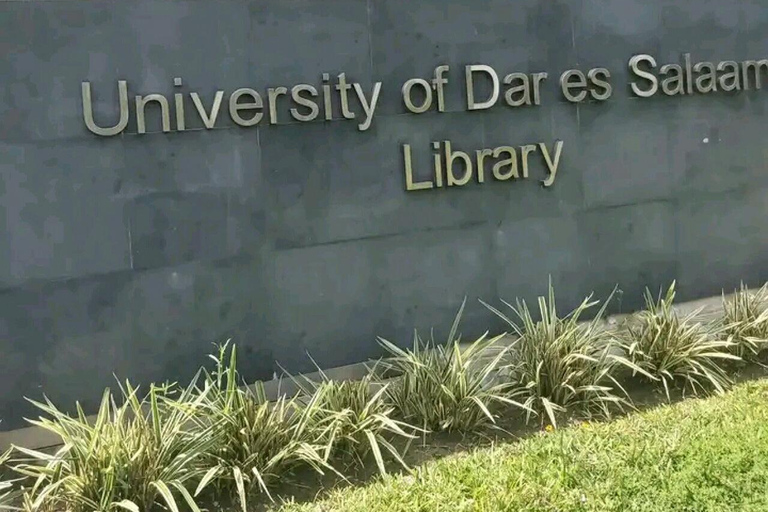 DAR ES SALAAM : TOUR DELLA CITTA' DI DAR ES SALAAM DI 5 ORE CON AUTO PRIVATADAR ES SALAAM : Tour della città di DAR ES SALAAM di 6 ore con auto privata