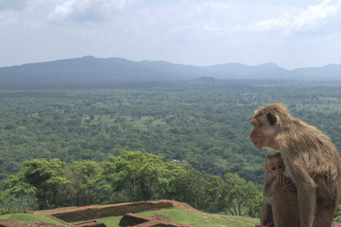 Colombo: Sigiriya & Dambulla All Inclusive Day Tour